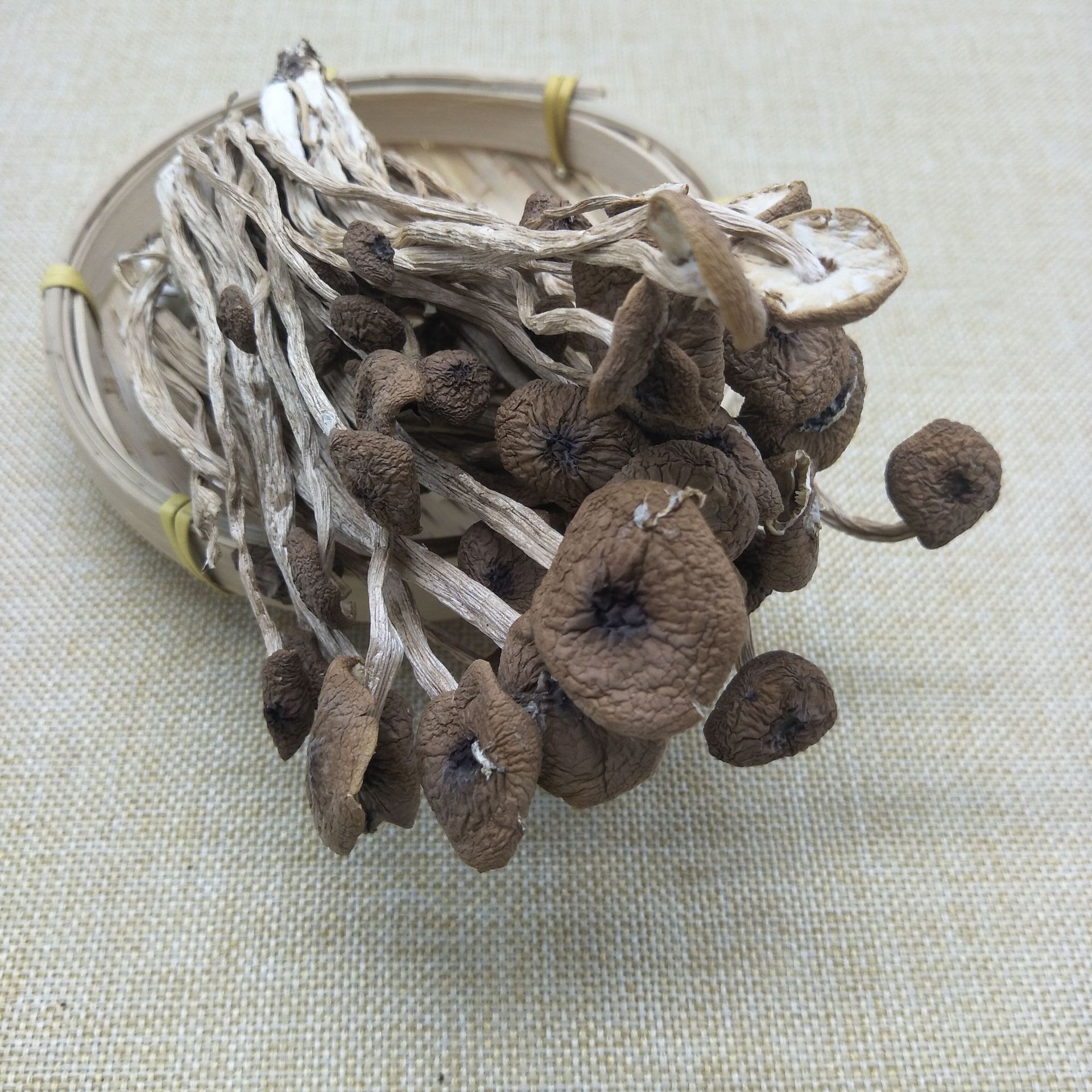 供应优质干茶树菇干货散装 – 天然山珍，批发零售均可